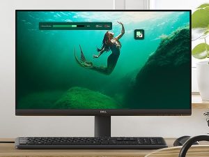 Dell SE2425HM 24-Inch Monitor